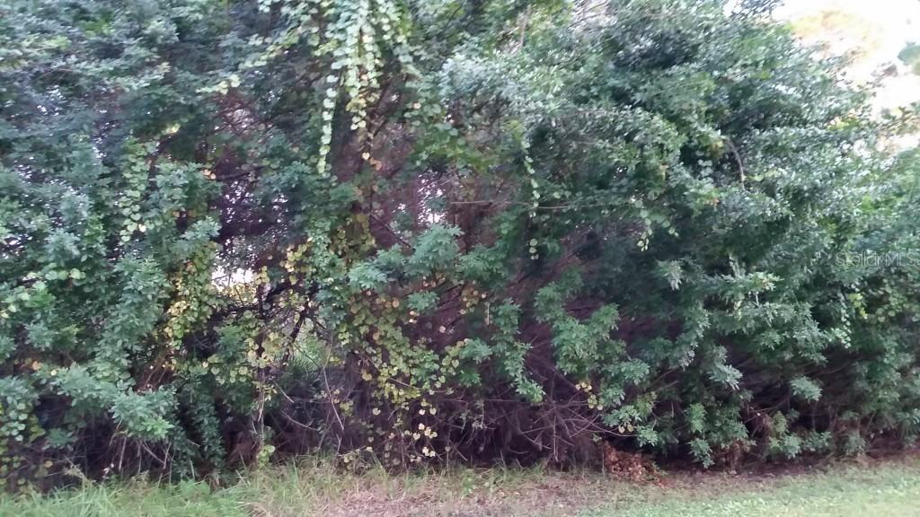 5432 Mahoney St., Port Charlotte, FL 33981