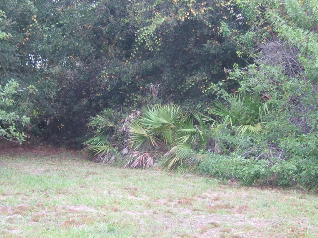 23438 Nelson Ave., Port Charlotte, FL 33954