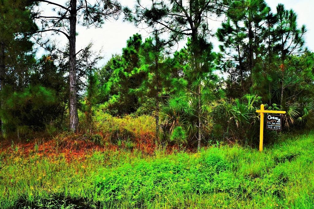 Harle Ave., North Port, FL 34291