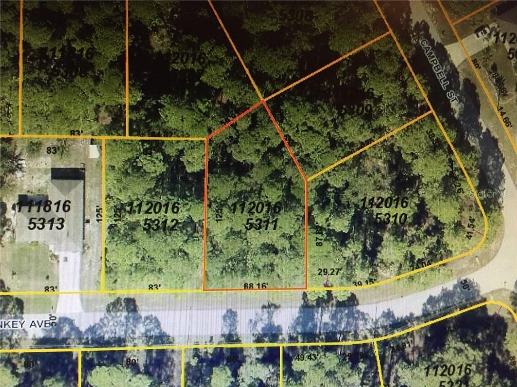 Donkey, North Port, FL 33956