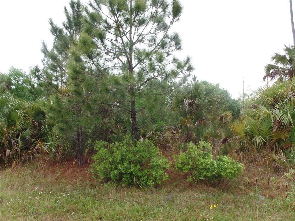 Lot 15 Beloit Ter., North Port, FL 34286