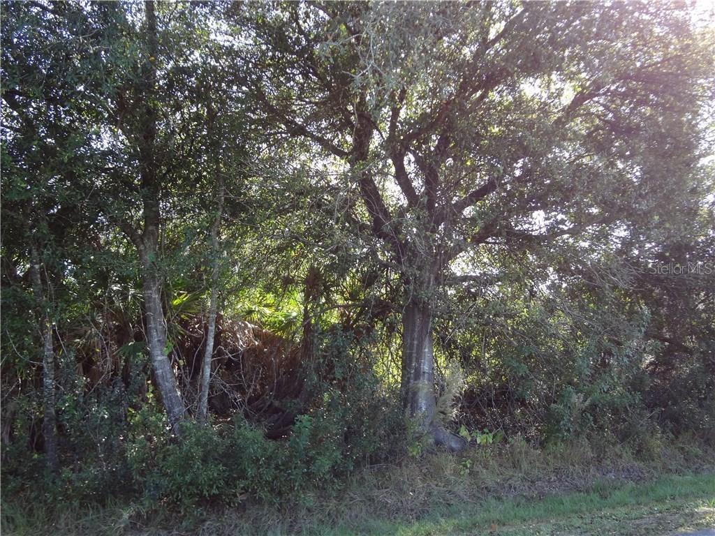 Torgerson St., North Port, FL 34291