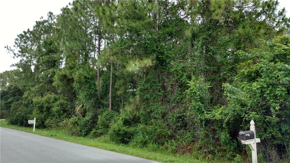 Lot 15 Parrot St., North Port, FL 34286