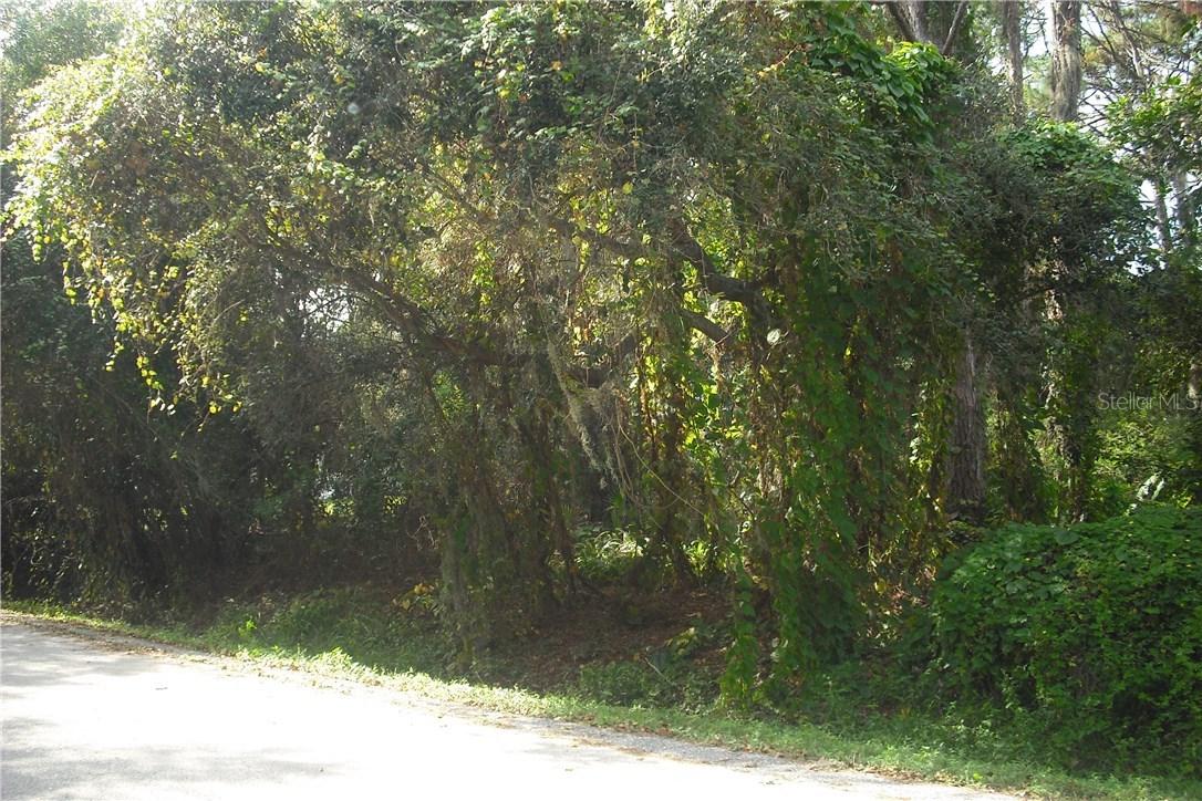 Denison Dr., Venice, FL 34293