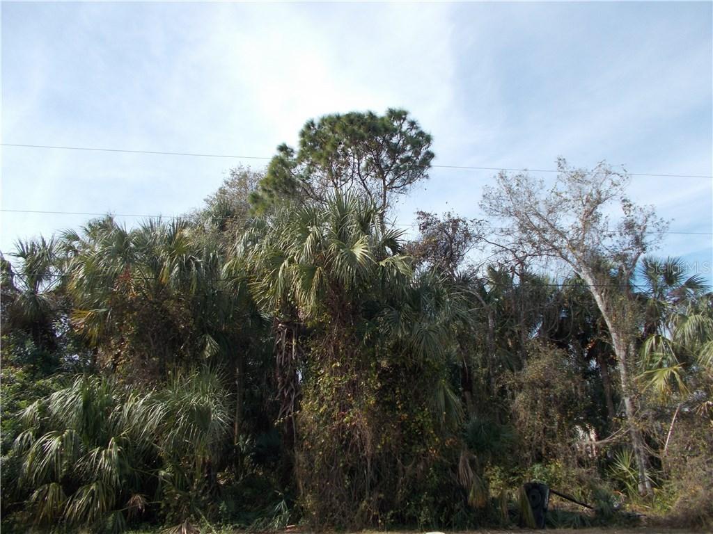 Cherokee St., North Port, FL 34286