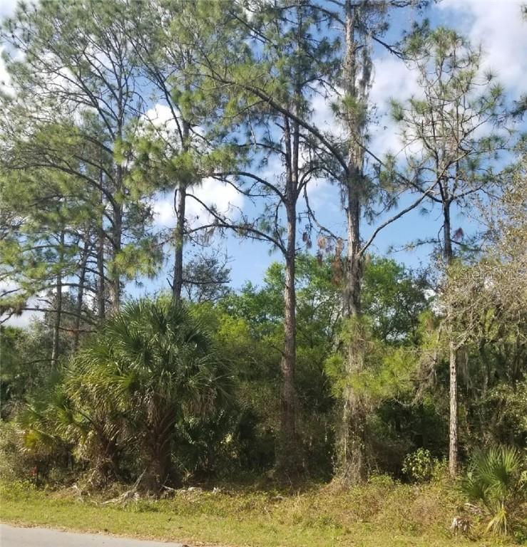 Shaffer Ave., North Port, FL 34291