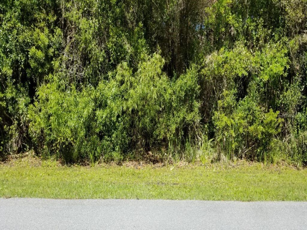 Gaitor Ter., North Port, FL 34291