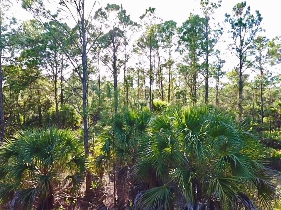 Hagerick Ln., North Port, FL 34288