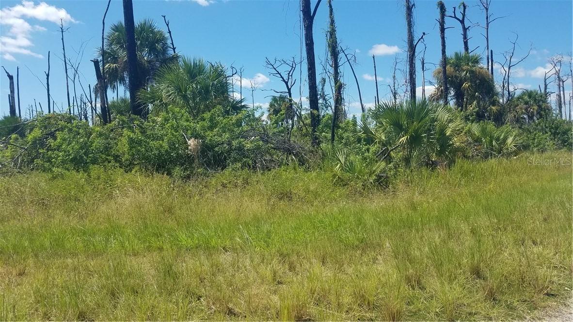 Eveningstar Ave., North Port, FL 34288