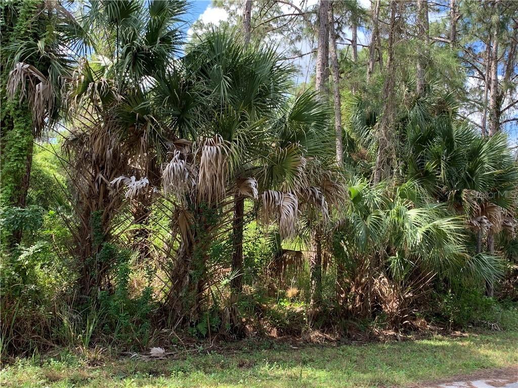 Beef Rd., North Port, FL 34286