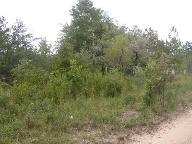 Pimento Cir., North Port, FL 34288