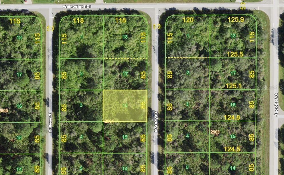 1467 Mottley St, Port Charlotte, FL 33953