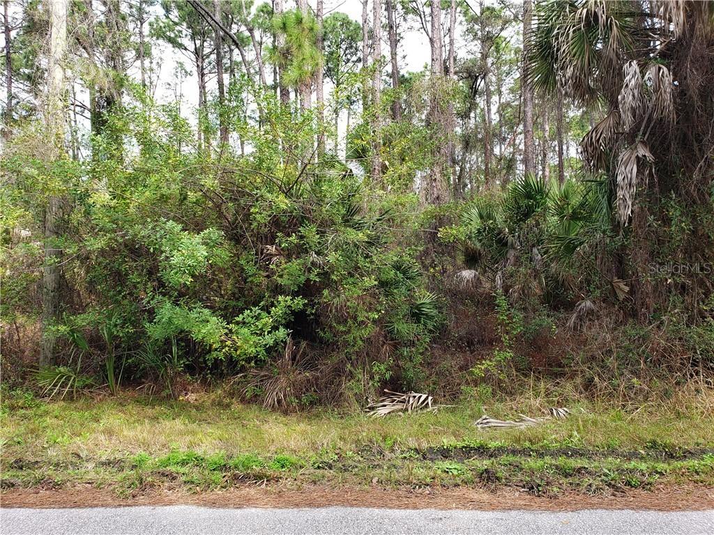 Bellefonte Ave., North Port, FL 34286