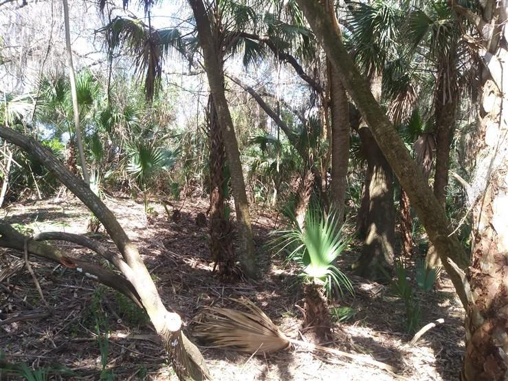 Gowanda Rd., North Port, FL 34287