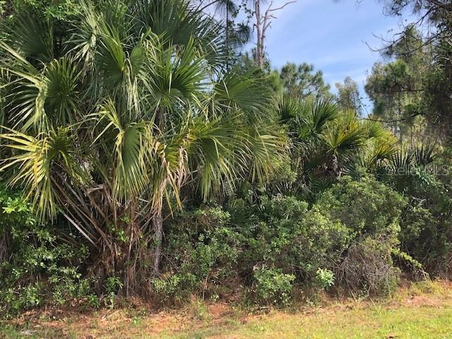 Kew Gardens Ave., North Port, FL 34286