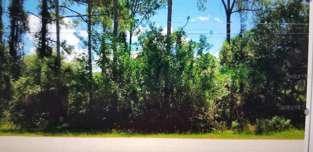 Dorie St., North Port, FL 34291