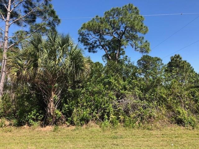 3118 Callisto St., Port Charlotte, FL 33981