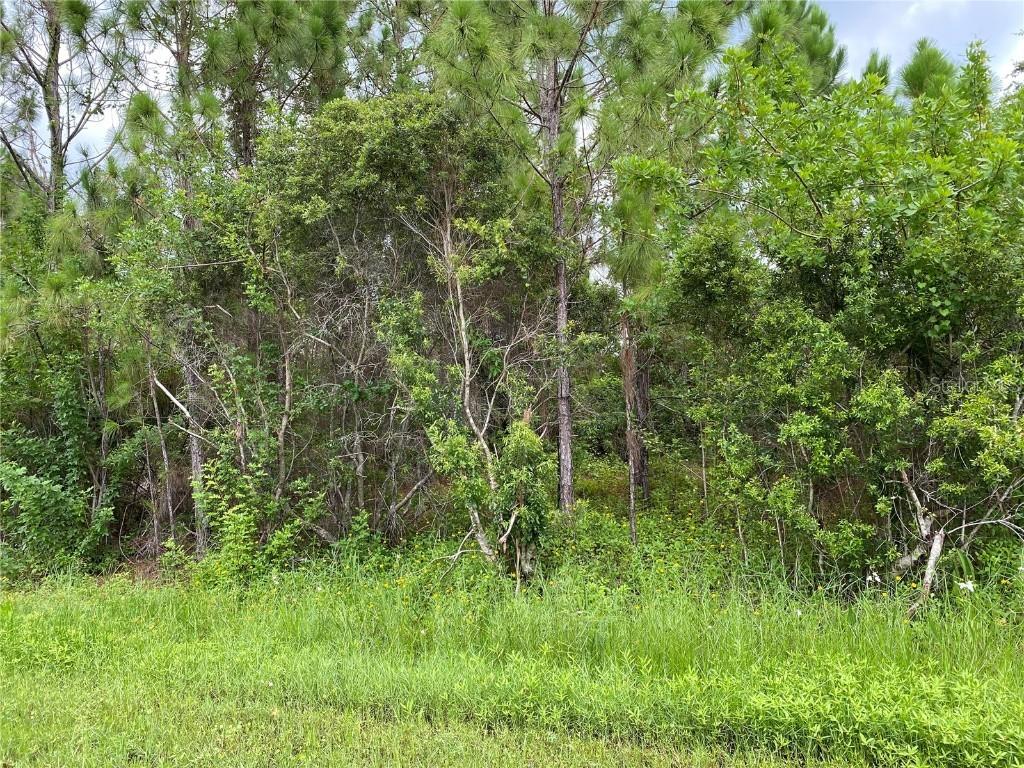 Lucaya Ave., North Port, FL 34286