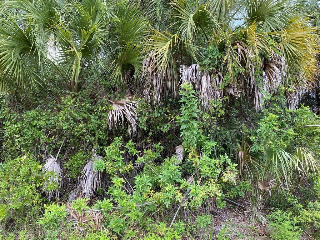 Lucaya Ave., North Port, FL 34286
