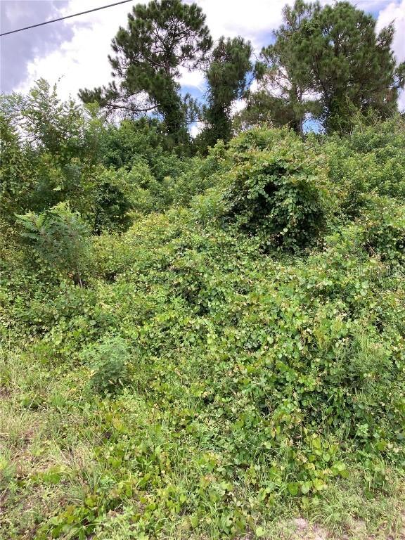 2506 38th St., Lehigh Acres, FL 33976