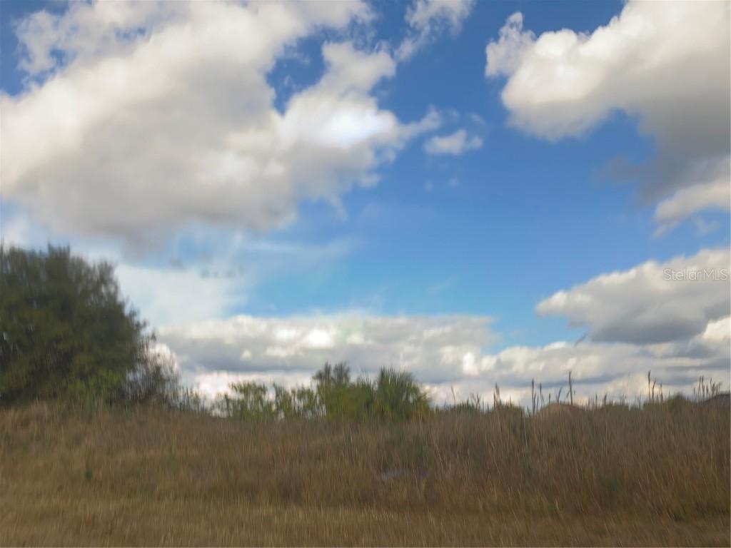 1405 Clyde Ave., Lehigh Acres, FL 33976