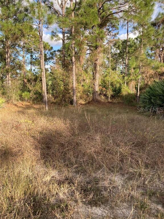 1315 Clark Ave., Lehigh Acres, FL 33972