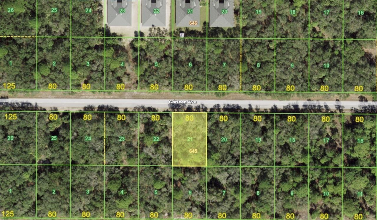 17115 Carleen Ave., Port Charlotte, FL 33948