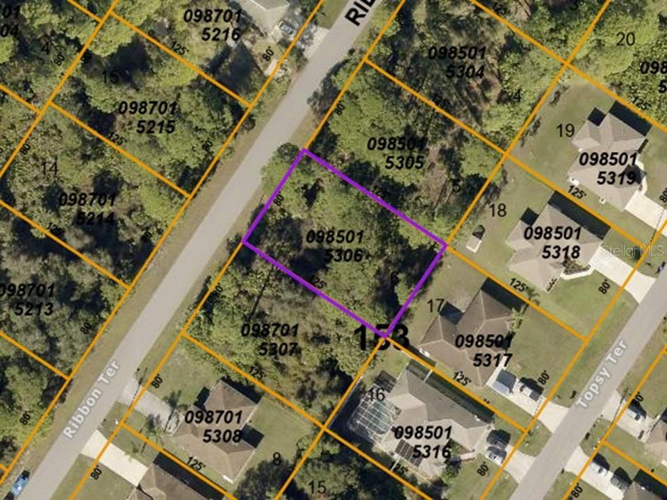 Ribbon Lot 6 Ter., North Port, FL 34286