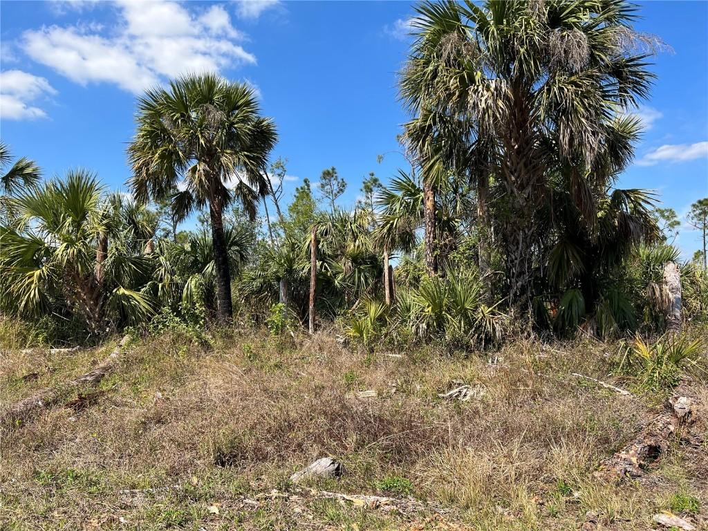 Fiveleaf Rd., North Port, FL 34288