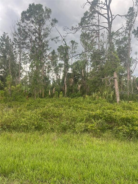 #3 Bignay Rd., North Port, FL 34288