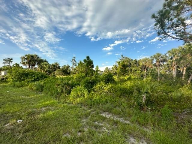 232 Ravenswood Blvd., Port Charlotte, FL 33954