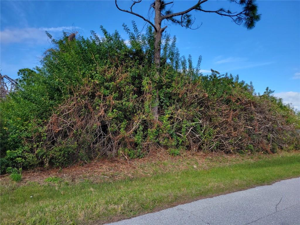 11354 Starflower Ave., Englewood, FL 34224