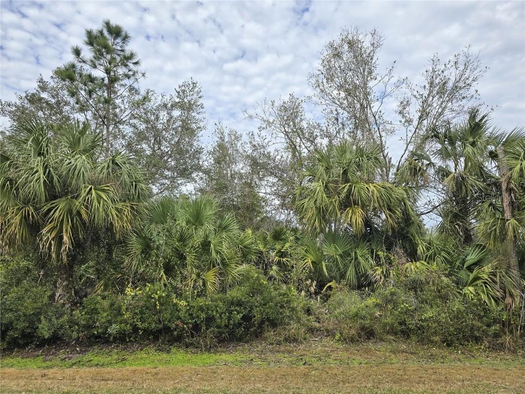0957071034 Pericles Ave., North Port, FL 34286