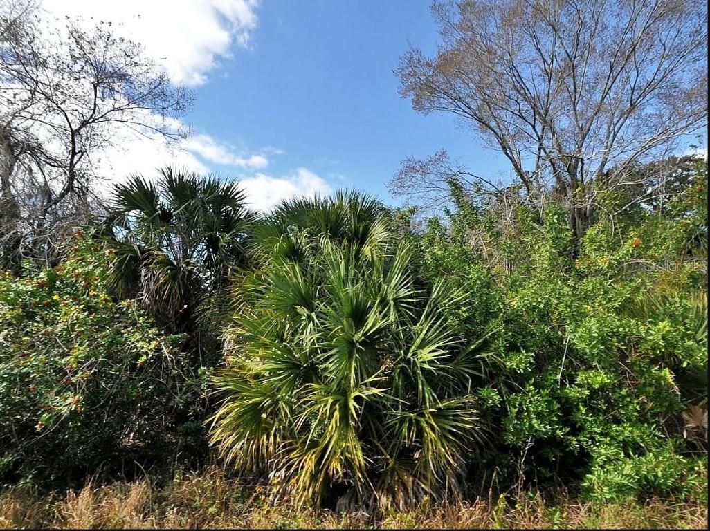 Grenard Cir., North Port, FL 34288