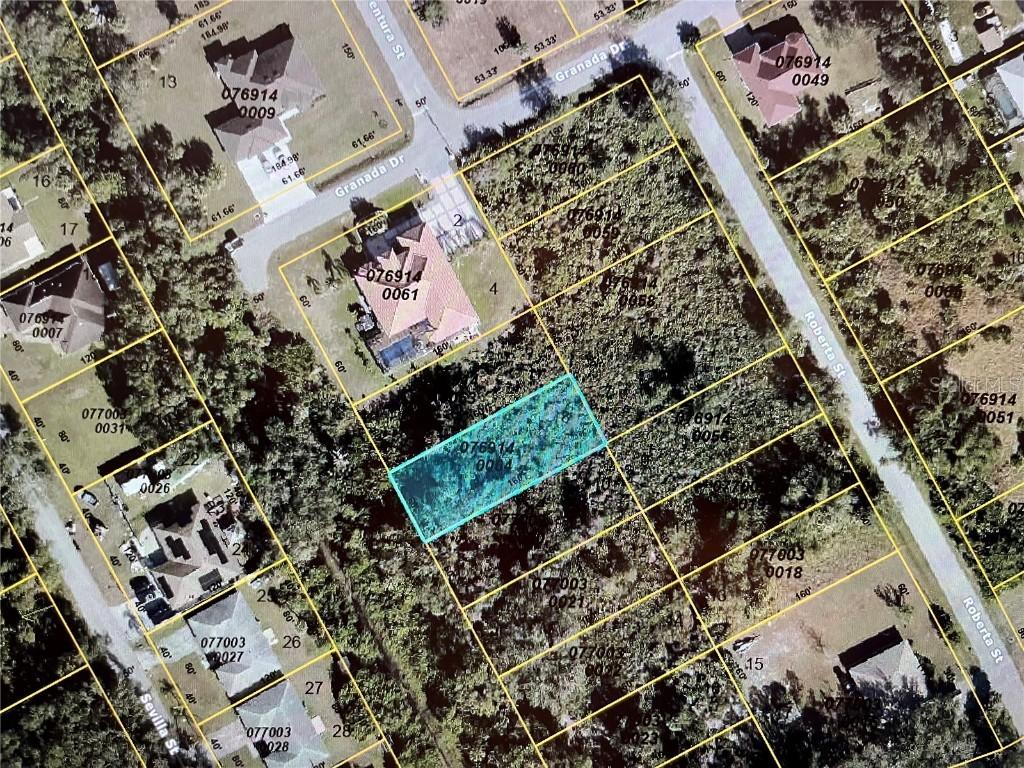 LOT 8 Dolores St., North Port, FL 34287