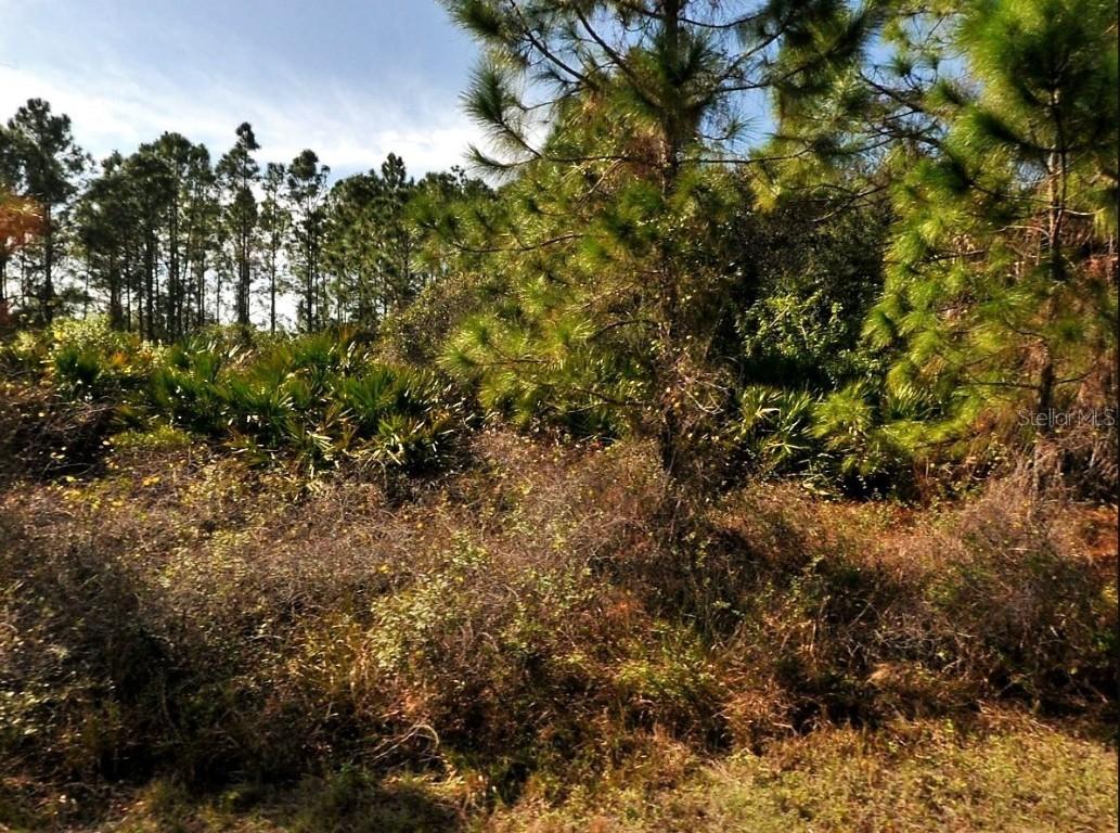 Filbert St., North Port, FL 34288