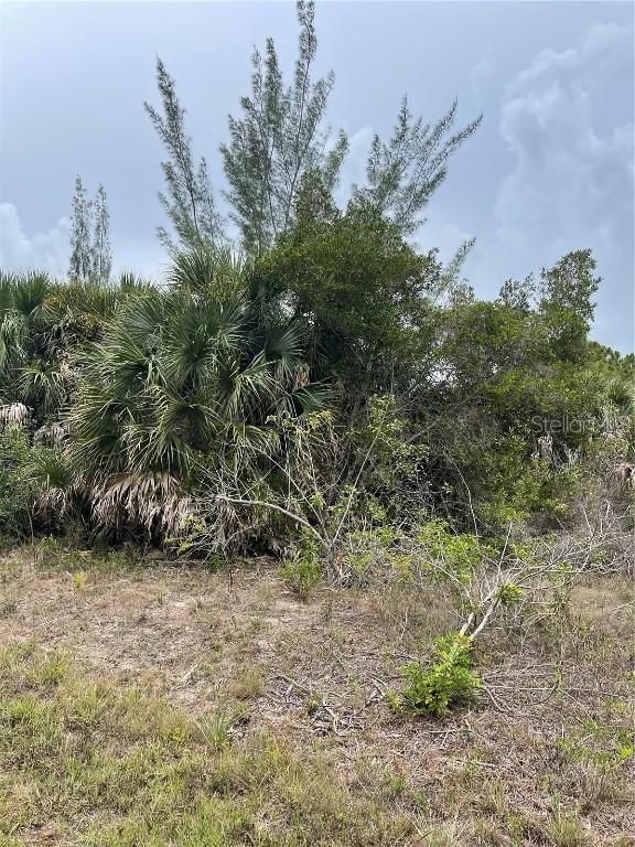 15551 Brainbridge Cir., Port Charlotte, FL 33981