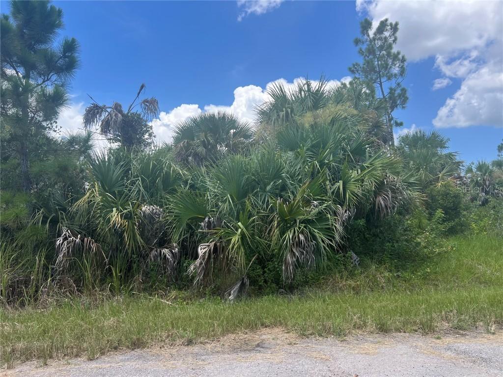 Fiveleaf Rd., North Port, FL 34288