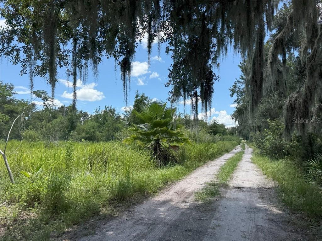 Holloman Rd., Plant City, FL 33567