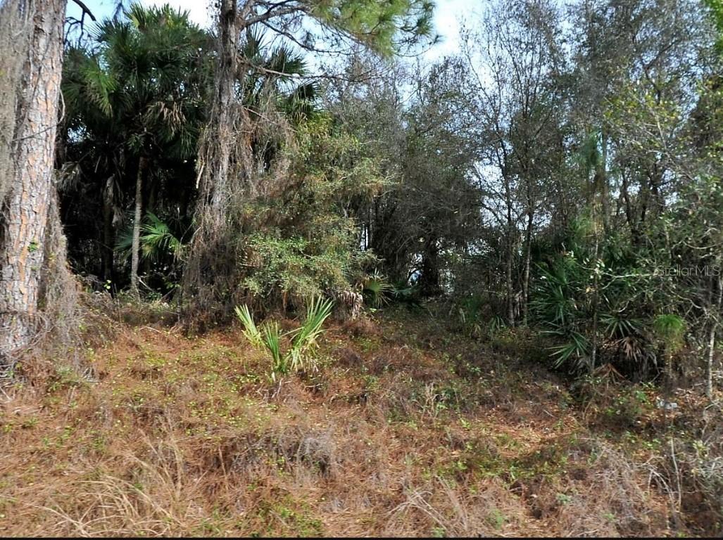 Gilbert St., North Port, FL 34288