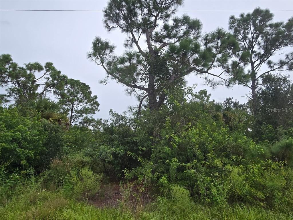 Newman Dr., North Port, FL 34288