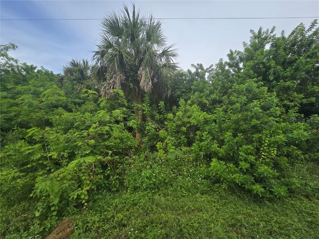 4169 Joseph St., Port Charlotte, FL 33948