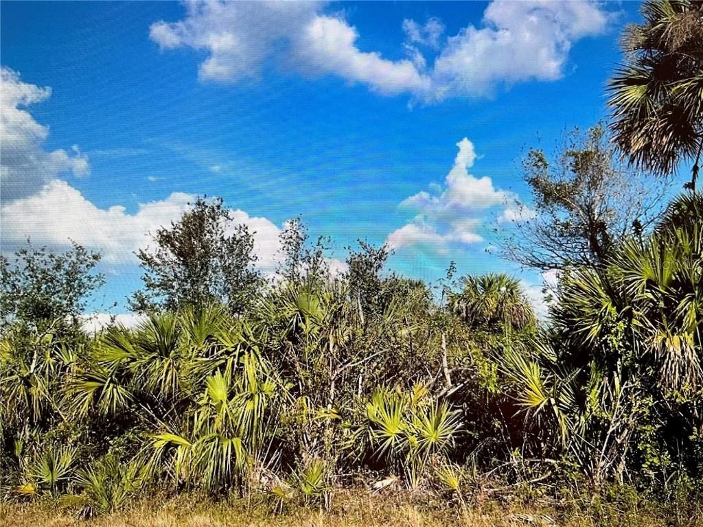 347 Lawler St., Port Charlotte, FL 33954