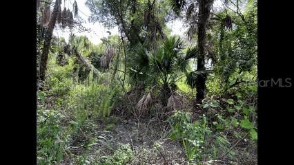 Alpen Ave., North Port, FL 34291