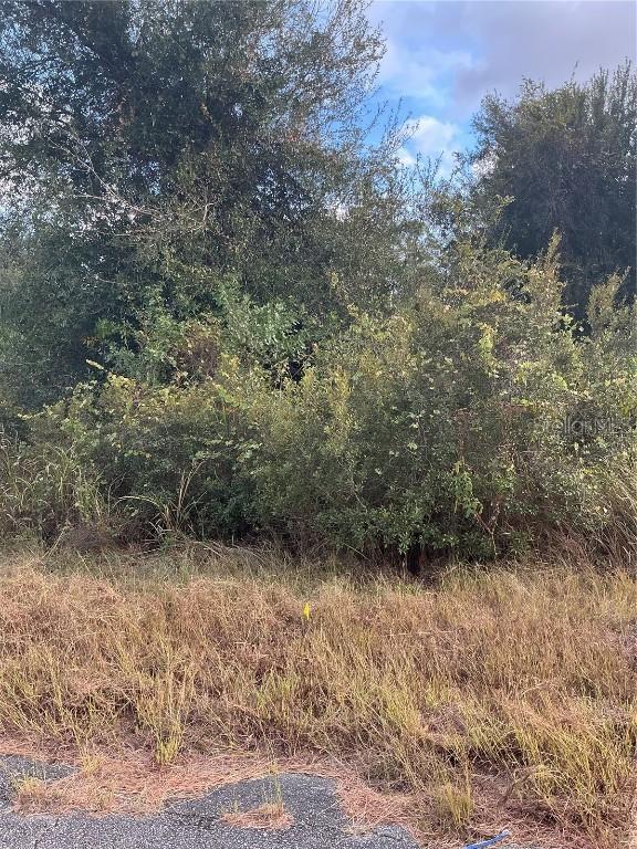 Newman Dr., North Port, FL 34288