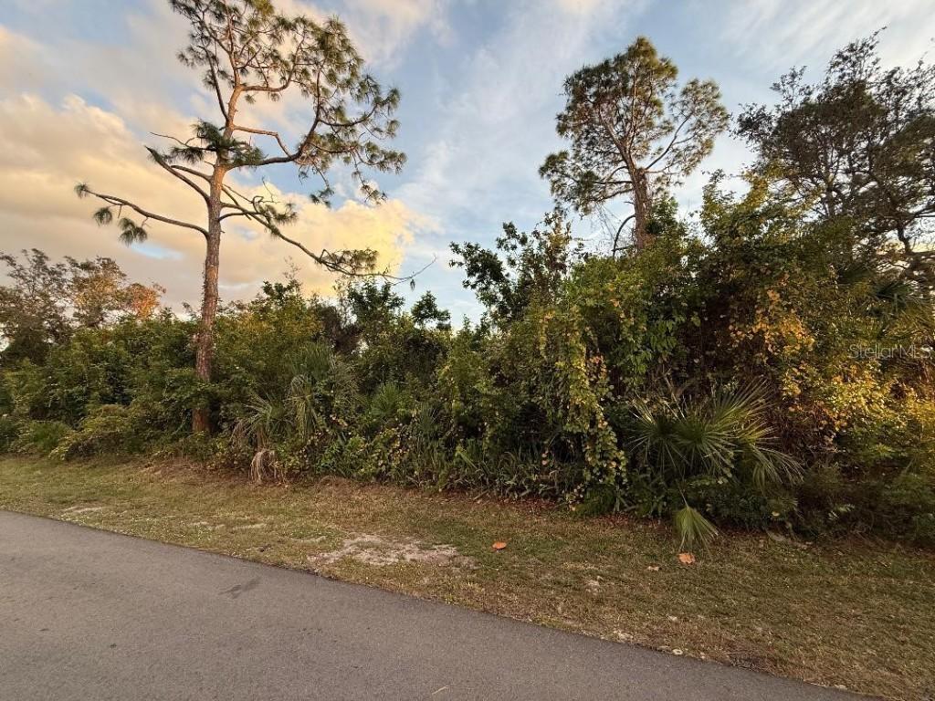 LOT Jupiter Rd., Venice, FL 34293
