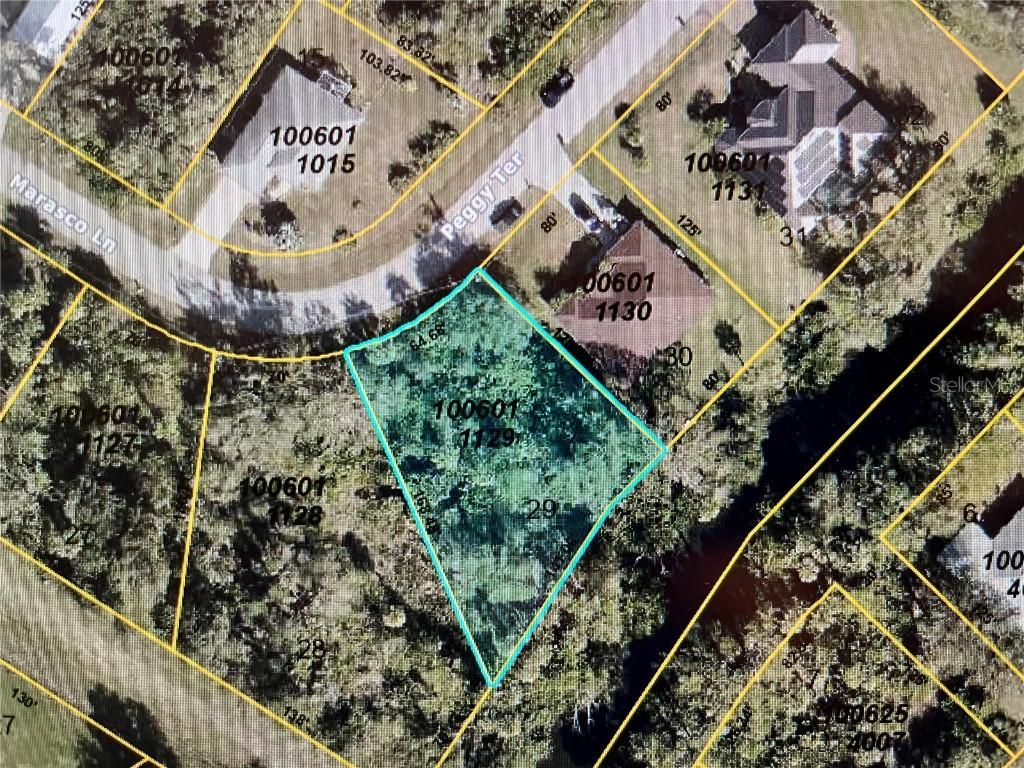 LOT 29 Peggy Ter., North Port, FL 34286