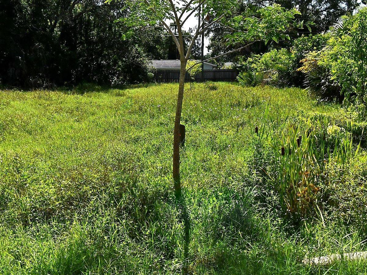 Olive Ave., Nokomis, FL 34275