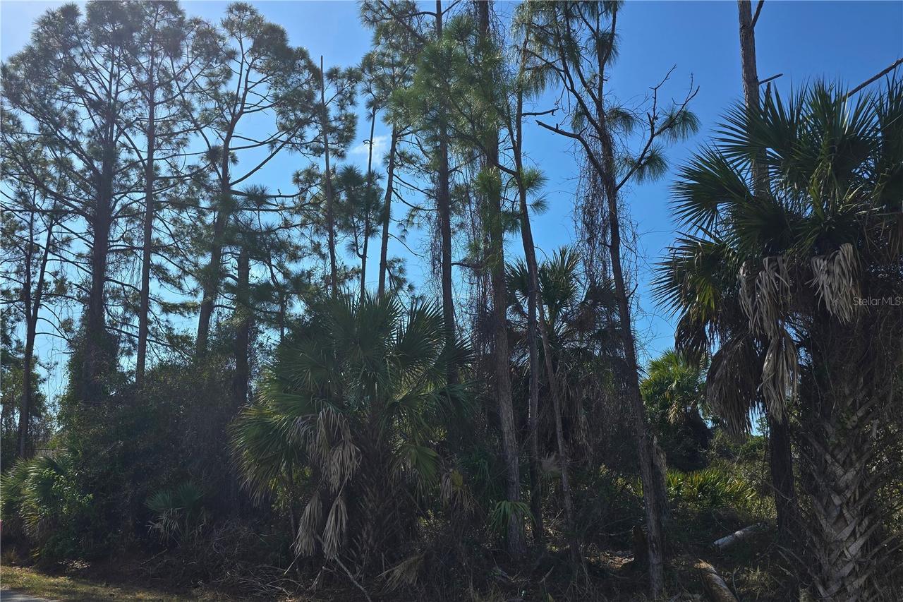 Lot 29 / Block 254 Allegheny Ln., North Port, FL 34286