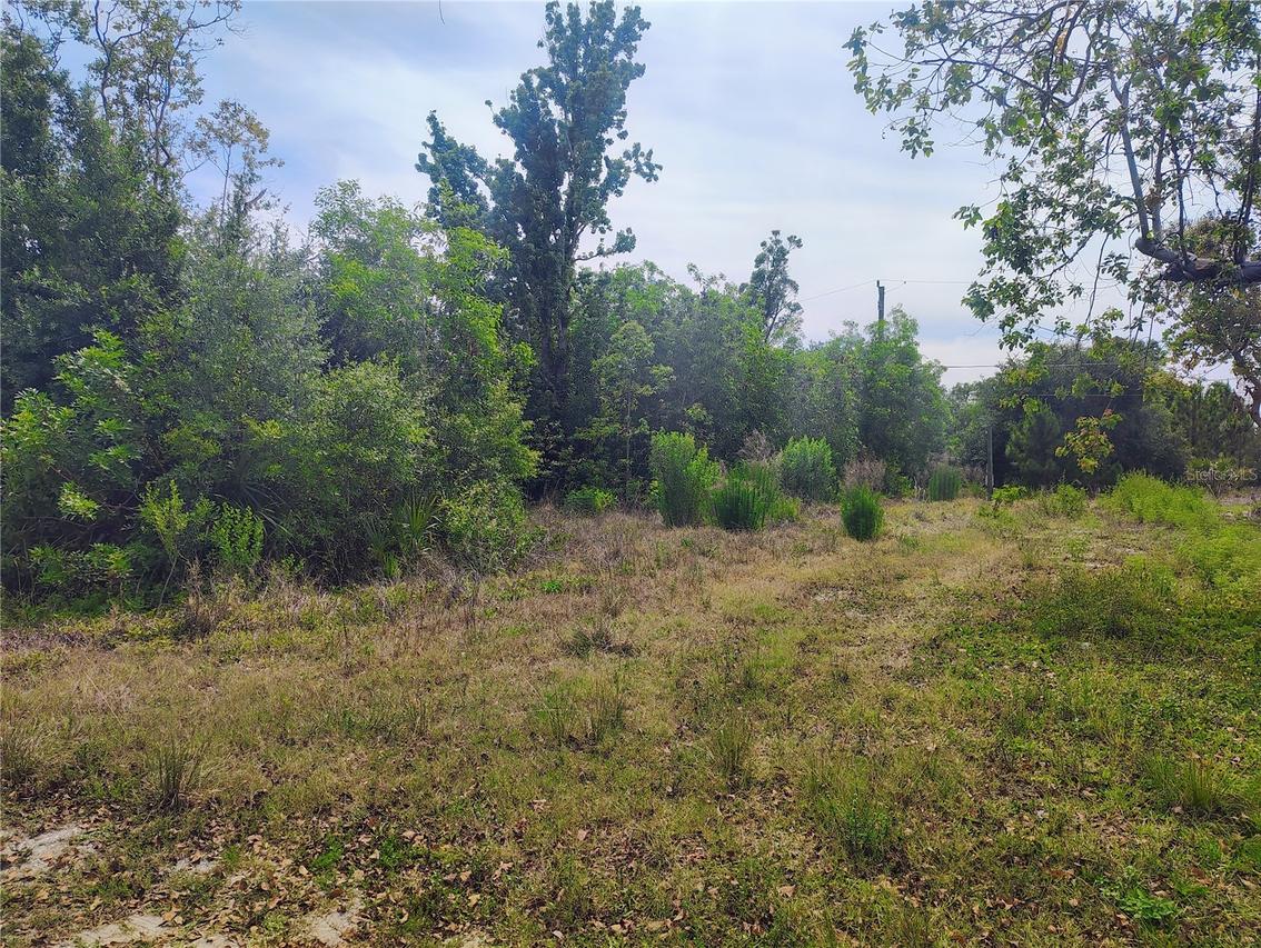 9283 Mandy St., Punta Gorda, FL 33982